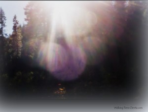 Orbs of light-1